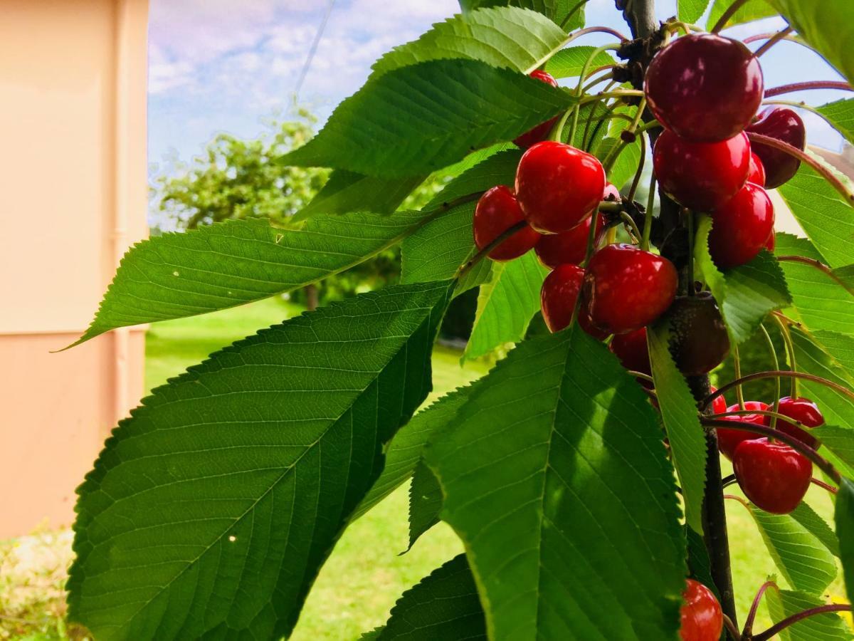 Appartamento Jolie Halte Normande Balines Esterno foto